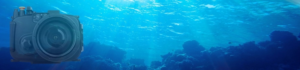 Discover the Philippines: A perfect destination for retirement, rich culture, exciting diving adventures, and unforgettable travel experiences.