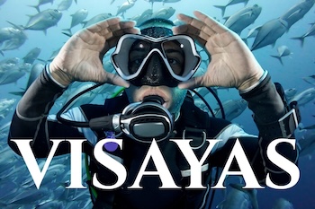 Dive focused articles coving the central Philippines dive sites