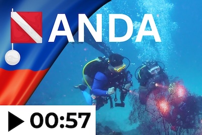 Dive Anda Bohol