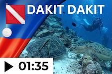 the reefs of balicasag