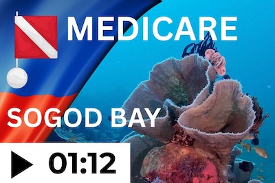 Sardine Run in Moalboal – Dive video on YouTube