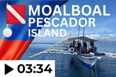 Sardine Run in Moalboal – Dive video on YouTube