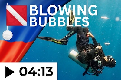 the reefs of balicasag