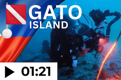 Dive Gato Island