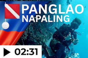 Dive videos from the Visayas on YouTube