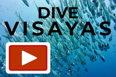 Dive videos from the Visayas on YouTube