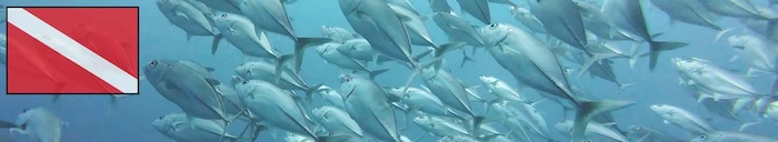 Dive sites of the central philippines