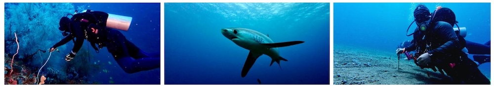 DJI Osmo Action 5 underwater camera, designed for stable and high-quality video recording.