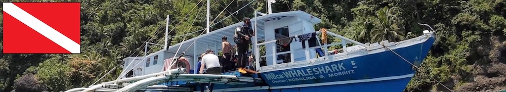 Dive sites of the central philippines