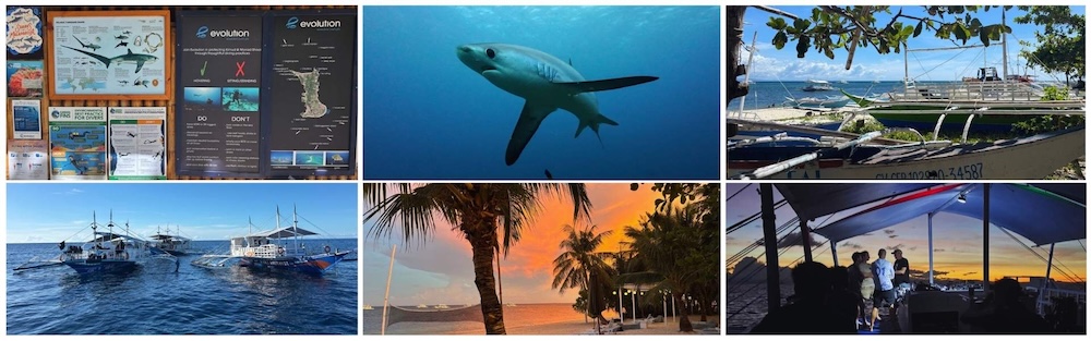 Dive boats, beach scenes and thresher sharks of Malapascua Island