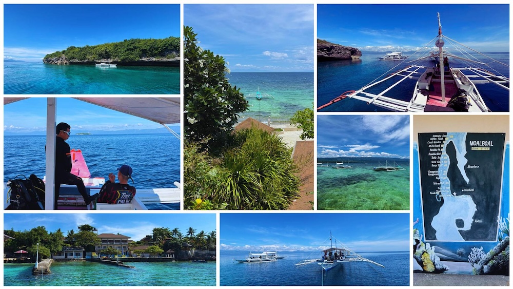 Moalboal diving Cebu
