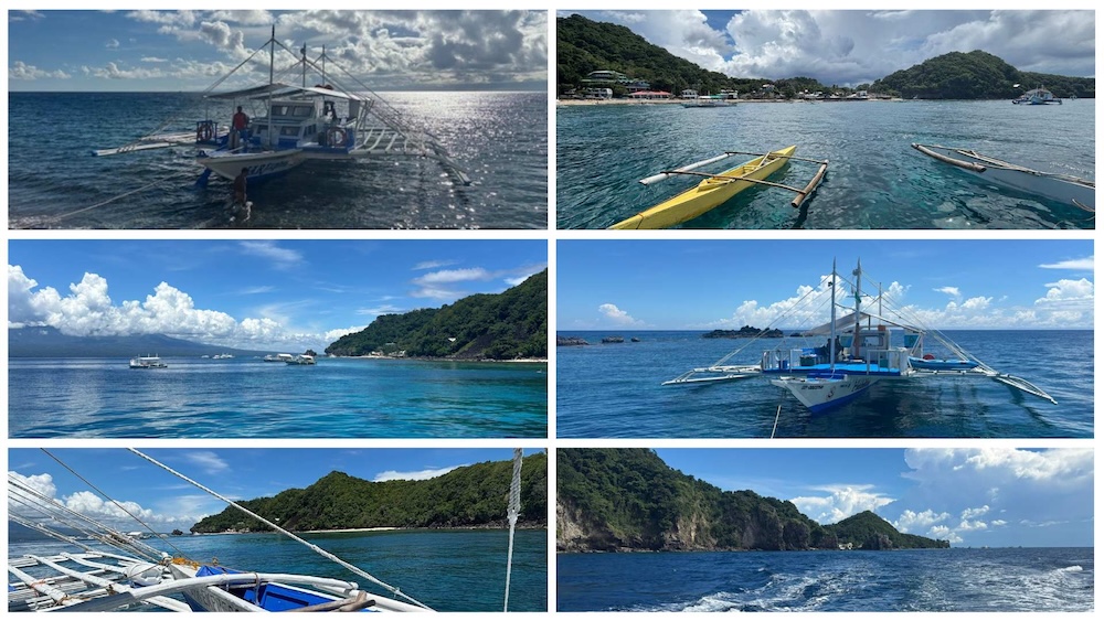 Apo Island and dauin Dive Sites