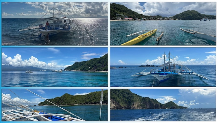 Apo Island Dive Sites