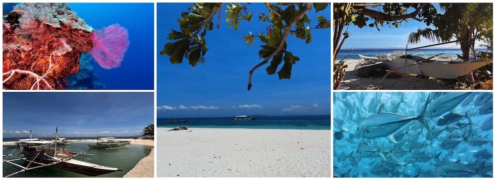 Images off Pamilacan Island, beach, se views and spanish tower