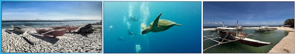 Bohol Trip – Beautiful Beaches of Pamilacan and Its Graceful Green Turtles