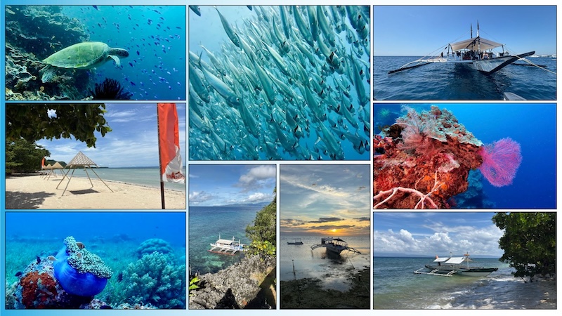 Bohol Itinerary - Collection of images from sites across the route, incluidng Cabilao, Pamilacan, Balicasag, Anda and Panglao.