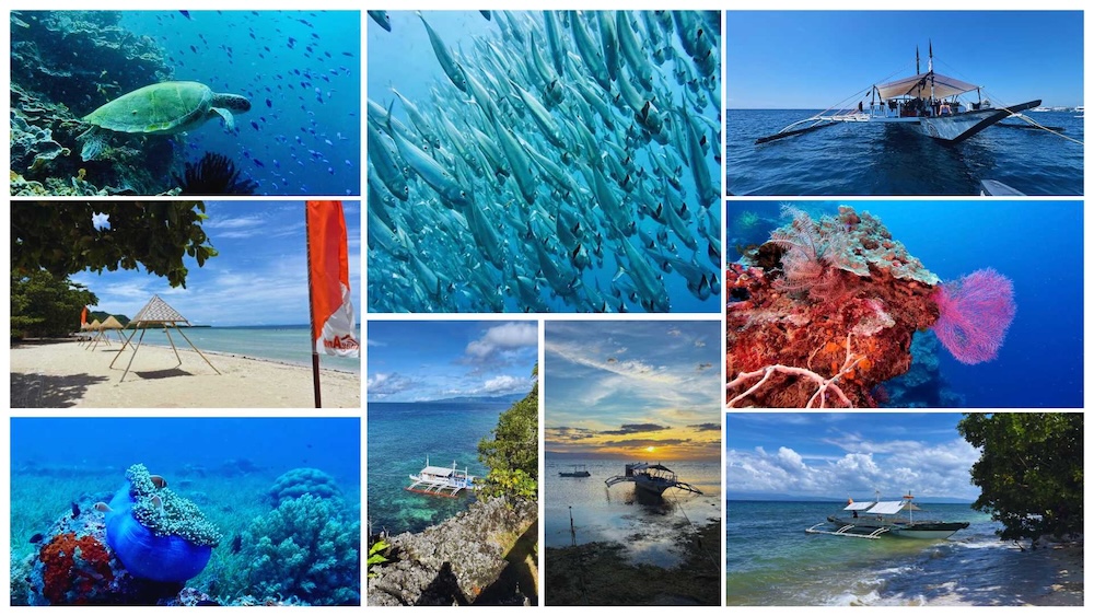 Bohol Itinerary - Collection of images from sites across the route, incluidng Cabilao, Pamilacan, Balicasag, Anda and Panglao.