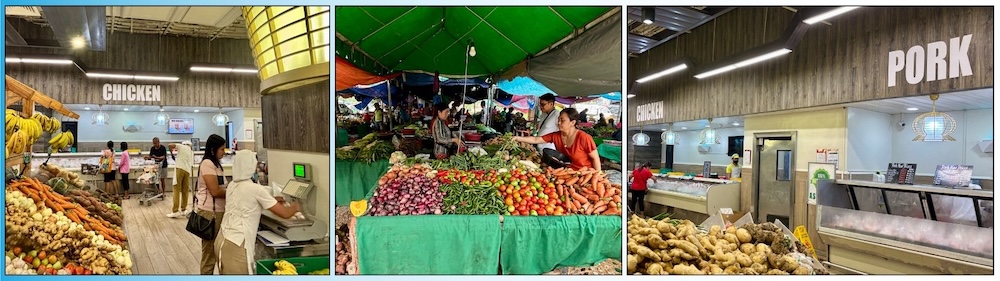 food options and alternatives in the Philippines