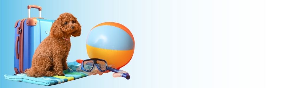 connectivlty and communications in the philippines